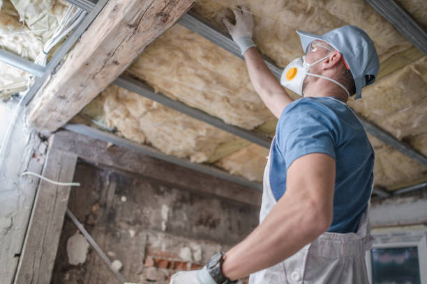 Best Commercial Insulation in Warson Woods, MO