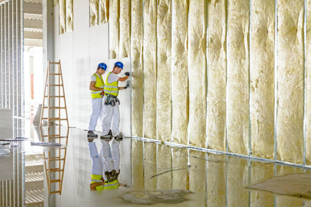 Best Geographic-Specific Insulation Services in Warson Woods, MO